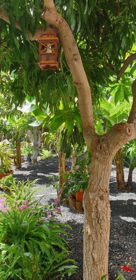 Finca Borbolan Y La Roseta バジェ・グラン・レイ エクステリア 写真